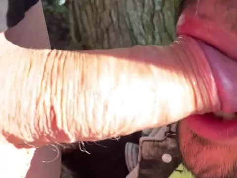 blowjob regarding the wood